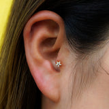 ohoshisama body pierce.