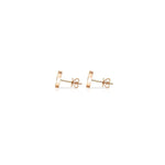 12星座 アクエリアスピアス (みずがめ座).