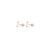 12星座 アクエリアスピアス (みずがめ座).