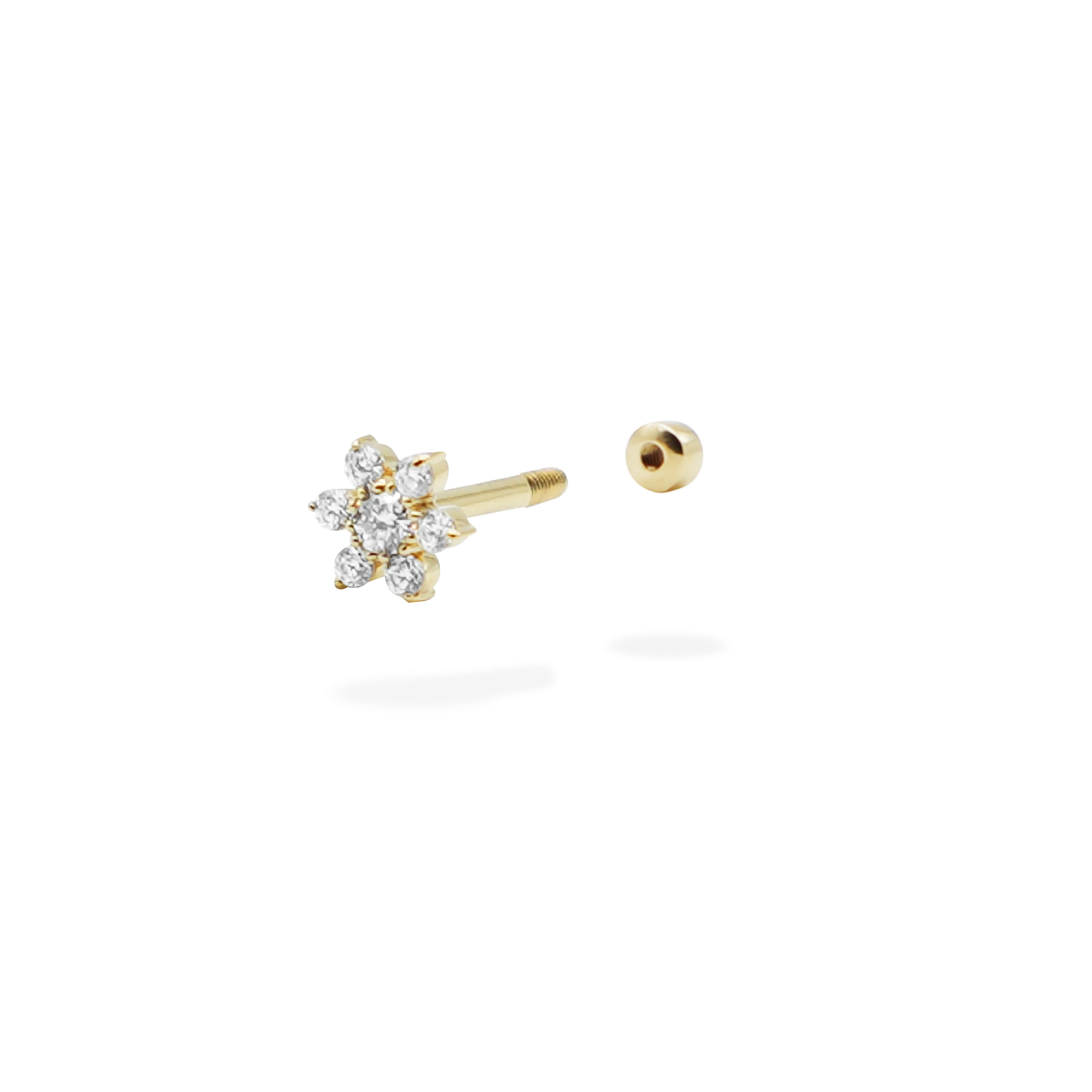 ohana body pierce.