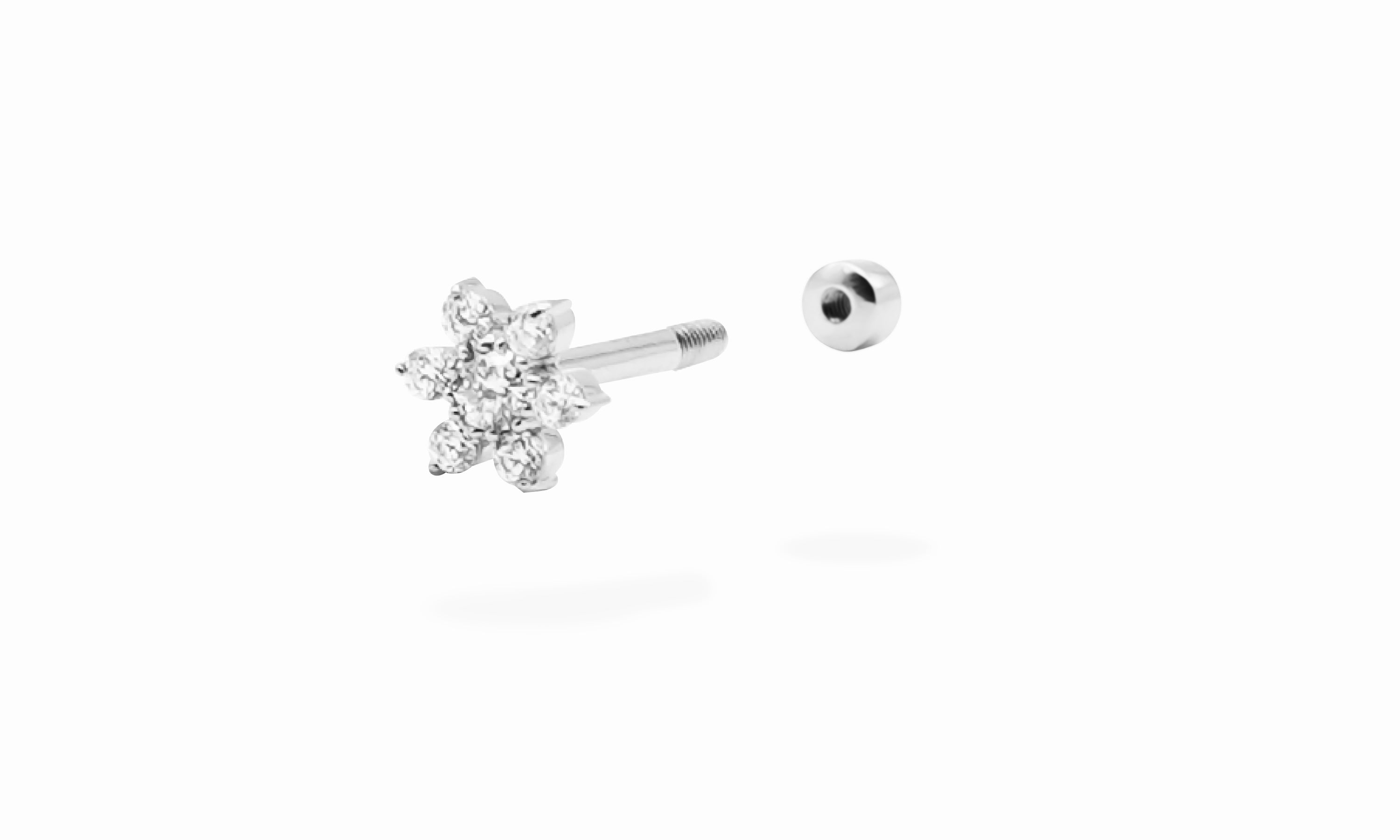 ohana body pierce.