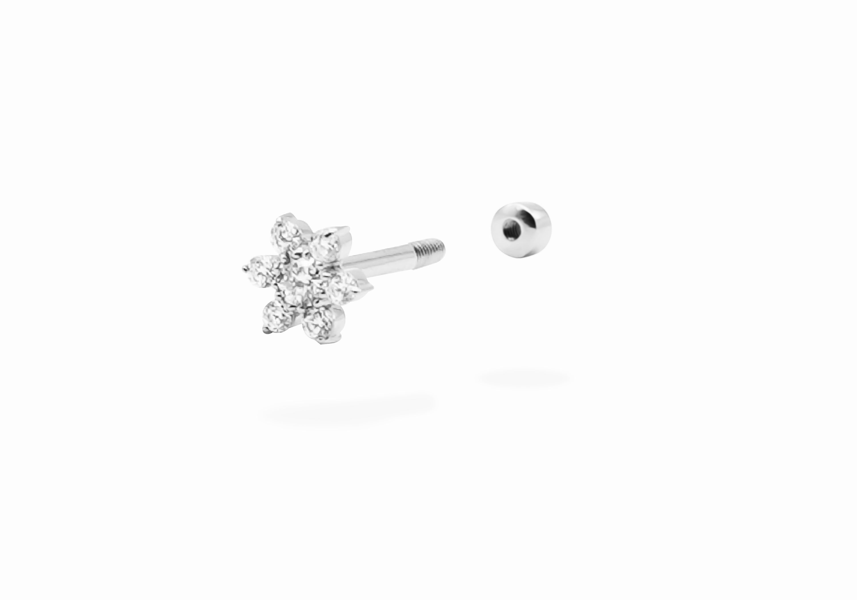 ohana body pierce.