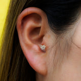 ohana body pierce.