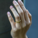 Upper Trapezoid Ring 3.0.