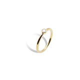 Bezel Ring.