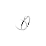 Bezel Ring.