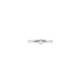 Bezel Ring.