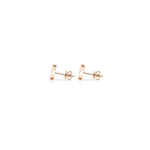 12星座　アクエリアスピアス　（みずがめ座）.