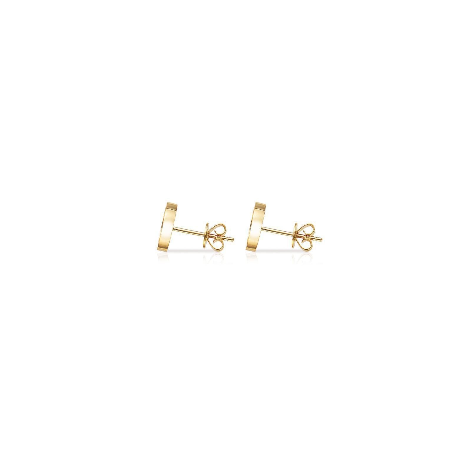 12星座　リオピアス　（しし座）.