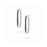 Archaic Fenestra Pierce.